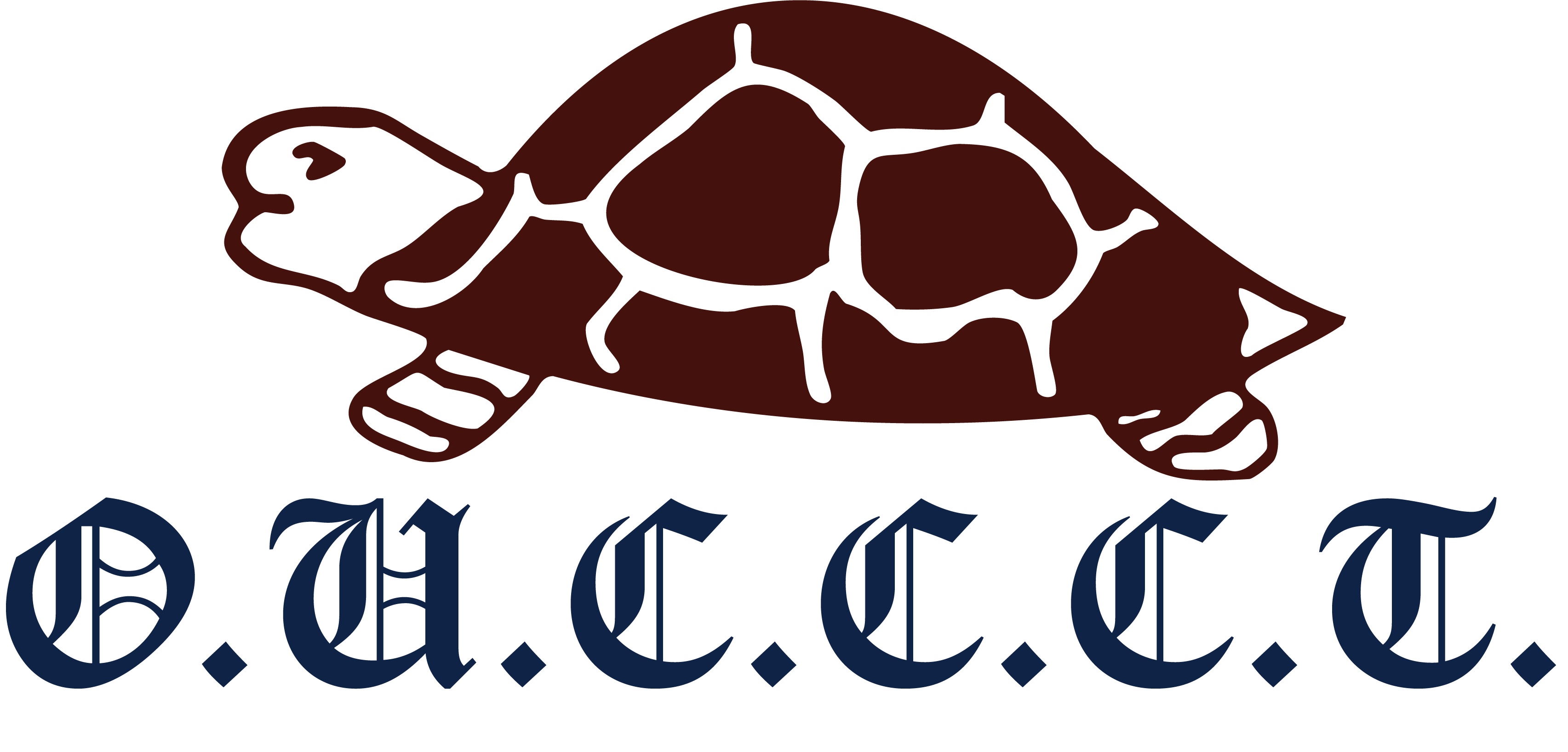 tortoises logo