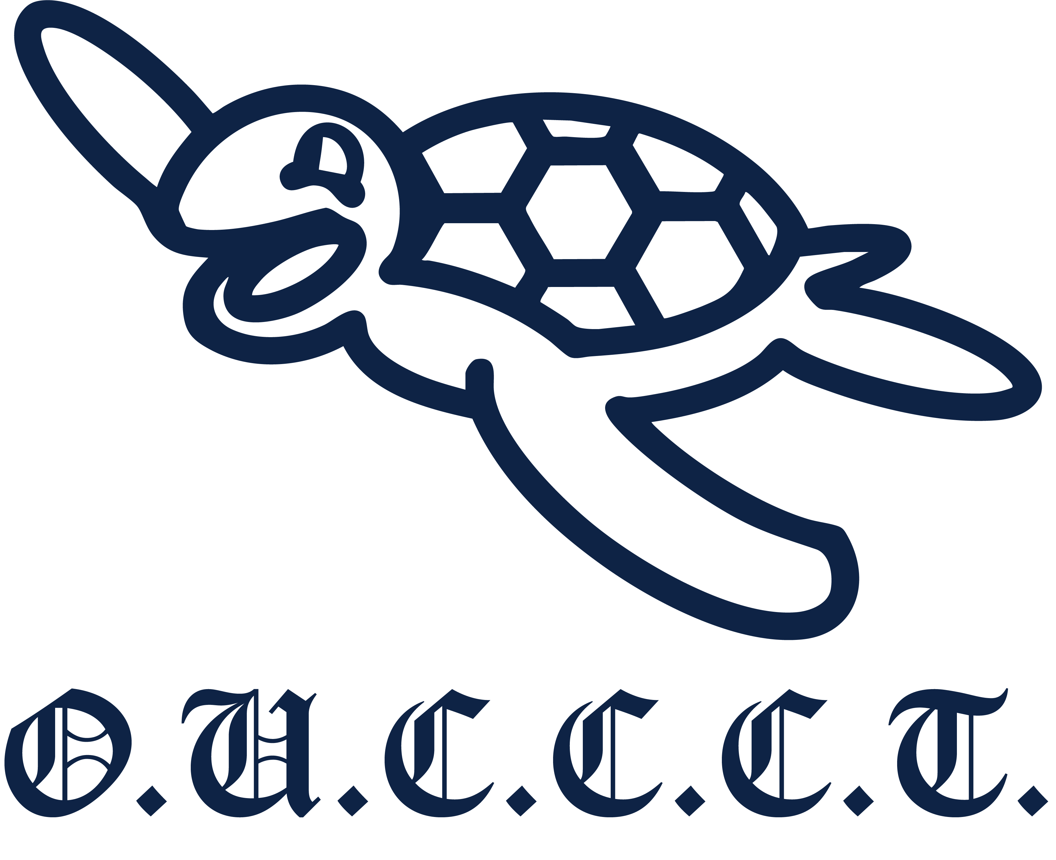 turtles logo